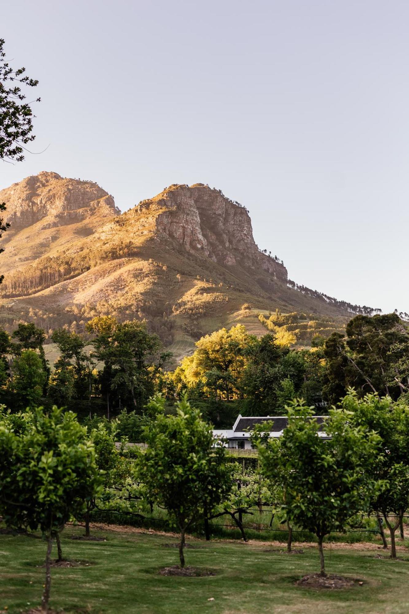 Molenvliet Vineyards Hotel สเตลเลนบอช ภายนอก รูปภาพ