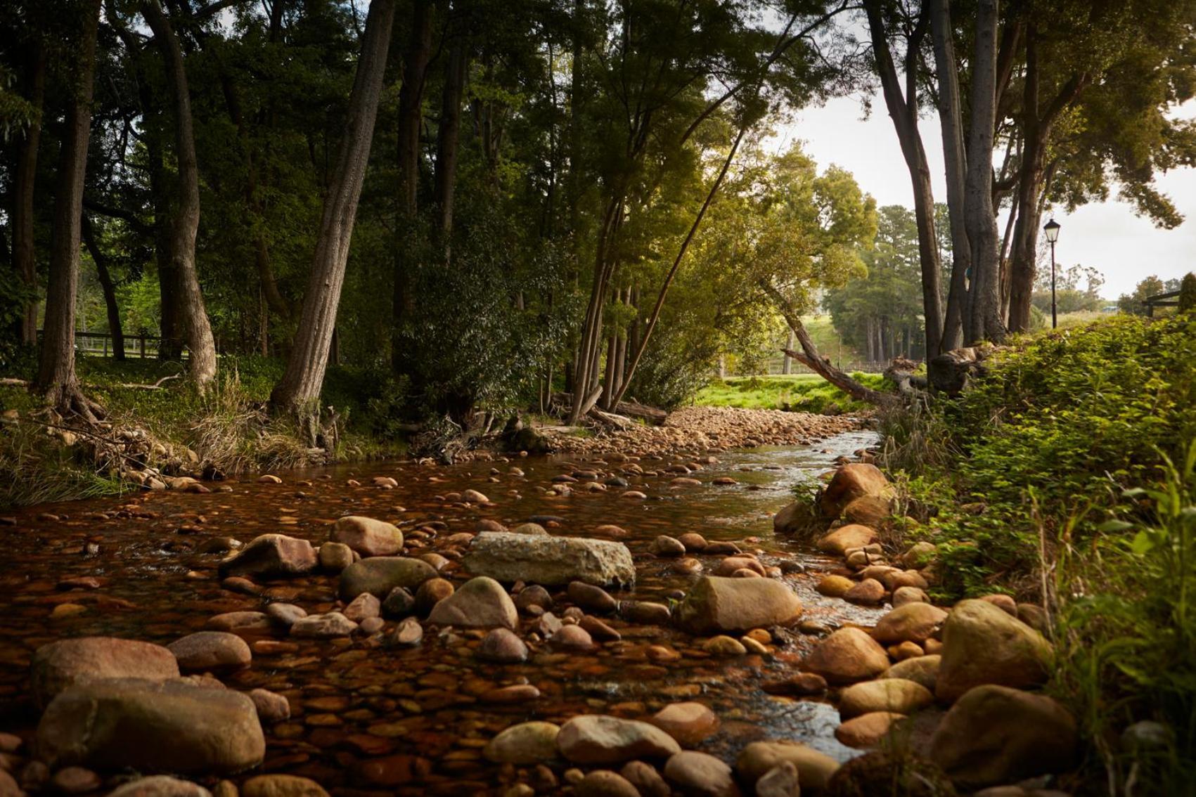 Molenvliet Vineyards Hotel สเตลเลนบอช ภายนอก รูปภาพ